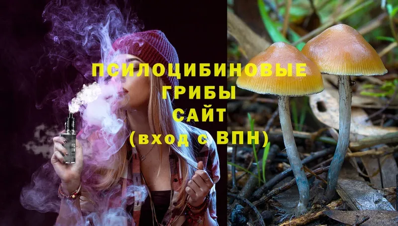 сколько стоит  Борисоглебск  Псилоцибиновые грибы Magic Shrooms 